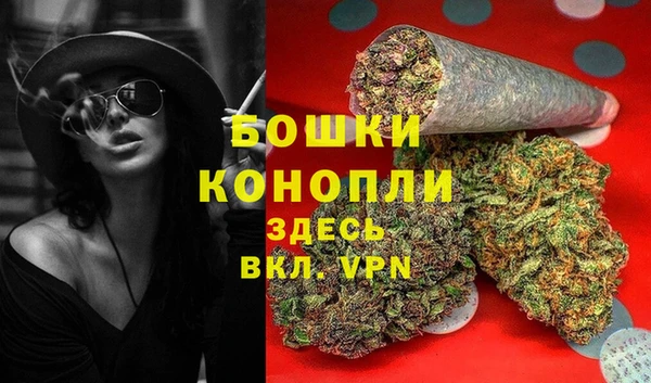 крисы Аркадак