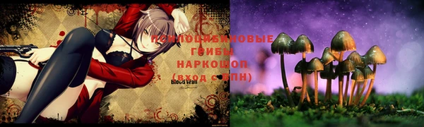 кристаллы Арсеньев