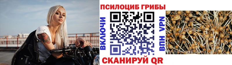 цены наркотик  Сунжа  Галлюциногенные грибы мицелий 
